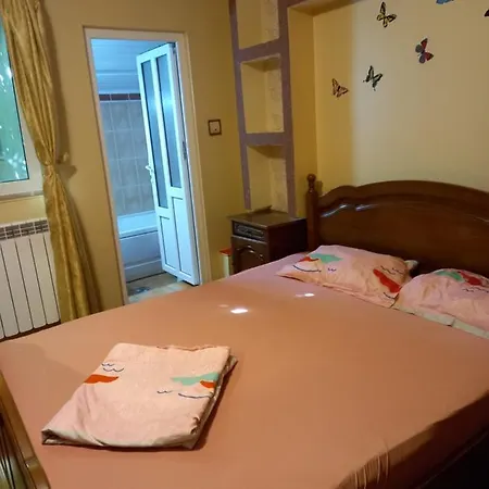 Studio Ioana Homestay *
