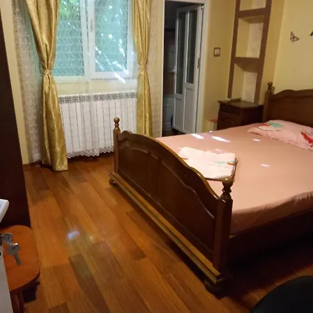 Studio Ioana Homestay