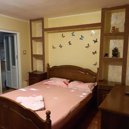 Studio Ioana Homestay